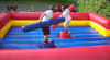 Gladiator Inflatable Games