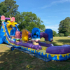 Inflatable Ice Cream Water Slide 