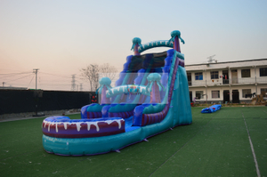 Blue Jellyfish Inflatable Water Slide Single Lane