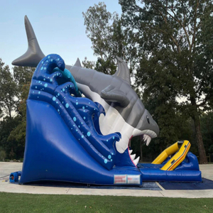 Inflatable Water Slide Shark