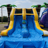 Inflatable Commerical bouncer slide