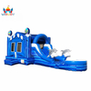 2 Lane Inflatable Water Slide