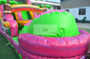 Pink Water Slide