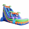Inflatable Commerical Water Slide 