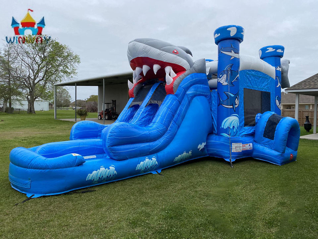 2 Lane Inflatable Water Slide