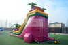 Pink Water Slide