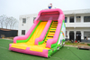 Inflatable Hello Kitty Slide