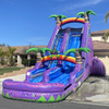 Inflatable Commerical Water Slide 
