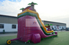 Pink Water Slide