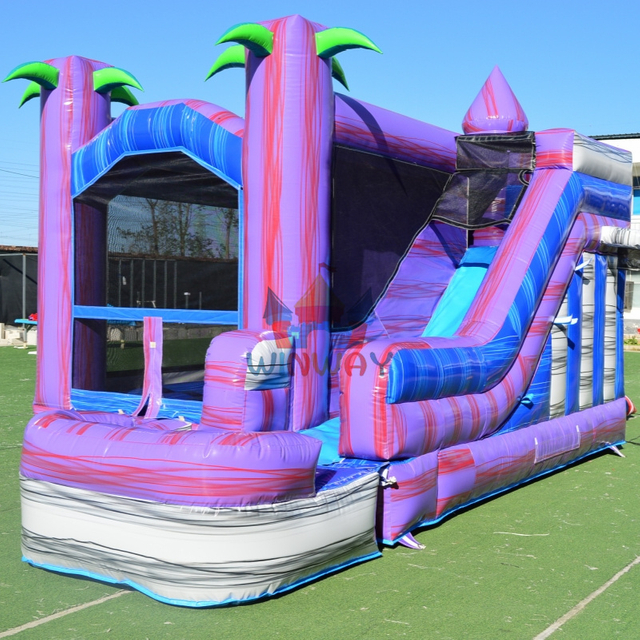 Inflatable Slide with Bounce House 