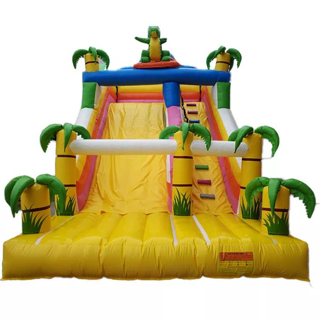 Giant Inflatable Water Slide