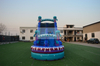 Blue Jellyfish Inflatable Water Slide Single Lane