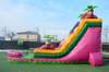 Pink Water Slide