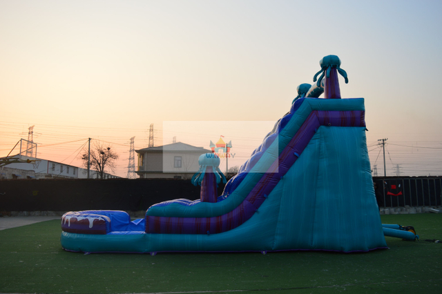 Blue Jellyfish Inflatable Water Slide Single Lane