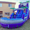 Inflatable Commerical Water Slide 
