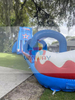Inflatable Gaint Water Slide 