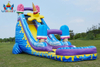 Giant Inflatable Water Slide with Pool