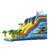 Giant Inflatable Water Slide