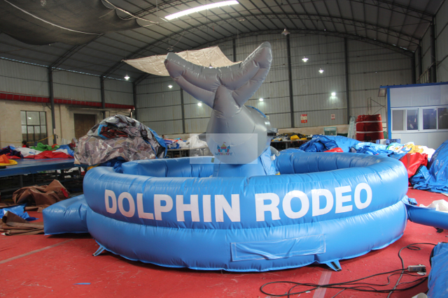Inflatable Dolphin Rodeo
