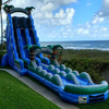 Inflatable Rainbow slide with pool