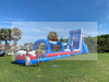 Inflatable Gaint Water Slide 