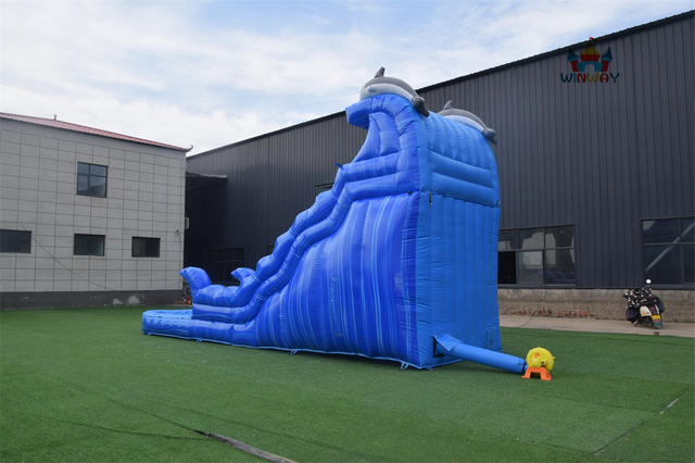 Dolphin Inflatable Water Slide