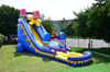 Inflatable Ice Cream Water Slide 
