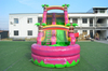 Pink Water Slide