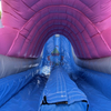 Inflatable Commerical Shark Slide