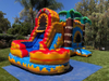 Inflatable Slide Bounce House Combo