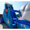 Wet/Dry Inflatable Water Slide 