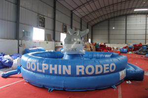 Inflatable Dolphin Rodeo