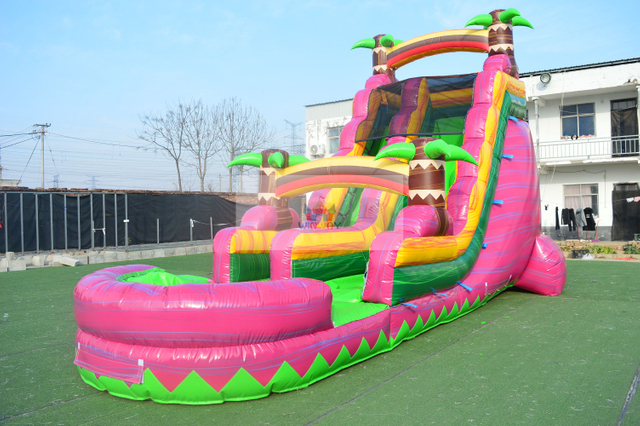 Pink Water Slide