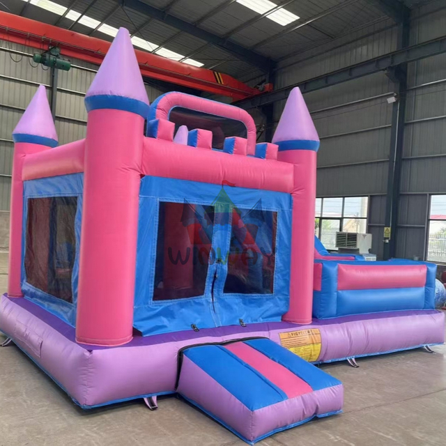 Inflatable Water Slide 