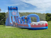 Inflatable Gaint Water Slide 