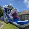 Inflatable Commerical Shark Slide
