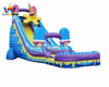 Giant Inflatable Water Slide with Pool