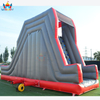  Inflatable Rock Climbing Slide