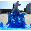 Wet/Dry Inflatable Water Slide 