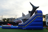 21ft Tall Giant Inflatable Shark Slide Water Slide Dry/wet 