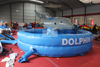 Inflatable Dolphin Rodeo
