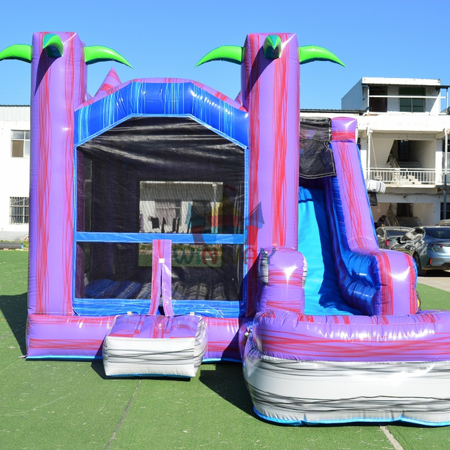 Inflatable Slide with Bounce House 