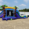 Inflatable Commerical bouncer slide