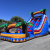 Inflatable Commerical Water Slide 
