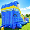Shark Inflatable Slide