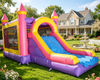Commercial Princess Castle Combo Dry