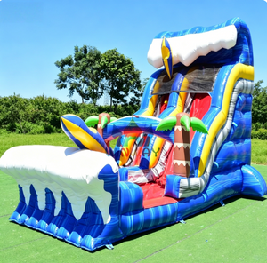 Shark Inflatable Slide